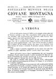 Numero 11/1939